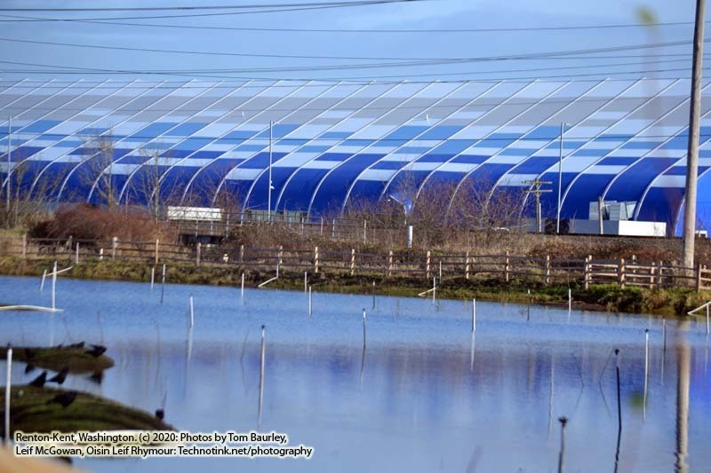 Friday, January 16, 2020: Refuge near Kent, Washington. The Adventures of Sir Oisin Leif:  Saga 1 - Dual states at https://technotink.net/adventures/?page_id=2.  Photography by Sir Oisin Leif, Thomas Baurley, Leaf McGowan, Technotink.net/photography  (c) 2020. All rights reserved.
