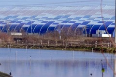 Friday, January 16, 2020: Refuge near Kent, Washington. The Adventures of Sir Oisin Leif:  Saga 1 - Dual states at https://technotink.net/adventures/?page_id=2.  Photography by Sir Oisin Leif, Thomas Baurley, Leaf McGowan, Technotink.net/photography  (c) 2020. All rights reserved.