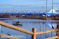 Friday, January 16, 2020: Refuge near Kent, Washington. The Adventures of Sir Oisin Leif:  Saga 1 - Dual states at https://technotink.net/adventures/?page_id=2.  Photography by Sir Oisin Leif, Thomas Baurley, Leaf McGowan, Technotink.net/photography  (c) 2020. All rights reserved.