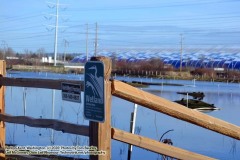 Friday, January 16, 2020: Refuge near Kent, Washington. The Adventures of Sir Oisin Leif:  Saga 1 - Dual states at https://technotink.net/adventures/?page_id=2.  Photography by Sir Oisin Leif, Thomas Baurley, Leaf McGowan, Technotink.net/photography  (c) 2020. All rights reserved.