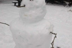 Saturday, January 18, 2020: Snow man at rest area outside of Bellingham, Washington. The Adventures of Sir Oisin Leif:  Saga 1 - Dual states at https://technotink.net/adventures/?page_id=2.  Photography by Sir Oisin Leif, Thomas Baurley, Leaf McGowan, Technotink.net/photography  (c) 2020. All rights reserved.