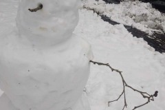Saturday, January 18, 2020: Snow man at rest area outside of Bellingham, Washington. The Adventures of Sir Oisin Leif:  Saga 1 - Dual states at https://technotink.net/adventures/?page_id=2.  Photography by Sir Oisin Leif, Thomas Baurley, Leaf McGowan, Technotink.net/photography  (c) 2020. All rights reserved.