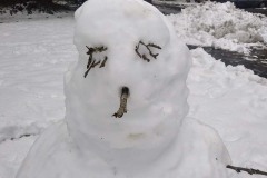 Saturday, January 18, 2020: Snow man at rest area outside of Bellingham, Washington. The Adventures of Sir Oisin Leif:  Saga 1 - Dual states at https://technotink.net/adventures/?page_id=2.  Photography by Sir Oisin Leif, Thomas Baurley, Leaf McGowan, Technotink.net/photography  (c) 2020. All rights reserved.