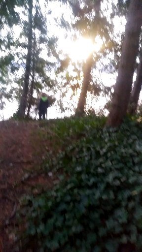 012020-thmb-048