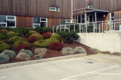 The Ferndale Public Library. The adventures of Sir Oisin Leif and Prince Cian in Ferndale and Bellingham, Washington. Photos taken on October 1, 2019. (c) 2019: Photos by Thomas Baurley, Oisin Leif Rhymour, Leaf McGowan. Tales at www.technogypsie.net/chronicles/. Photos on Android Phone. The Ferndale Public Library. The adventures of Sir Oisin Leif and Prince Cian in Ferndale and Bellingham, Washington. Photos taken on October 1, 2019. (c) 2019: Photos by Thomas Baurley, Oisin Leif Rhymour, Leaf McGowan. Tales at www.technogypsie.net/chronicles/. Photos on Android Phone.