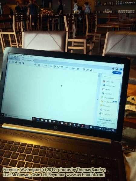 Doing web development work at the Ferndale Starbucks. The adventures of Sir Oisin Leif and Prince Cian in Ferndale, Washington. Photos taken on October 2, 2019. (c) 2019: Photos by Thomas Baurley, Oisin Leif Rhymour, Leaf McGowan. Tales at www.technogypsie.net/chronicles/