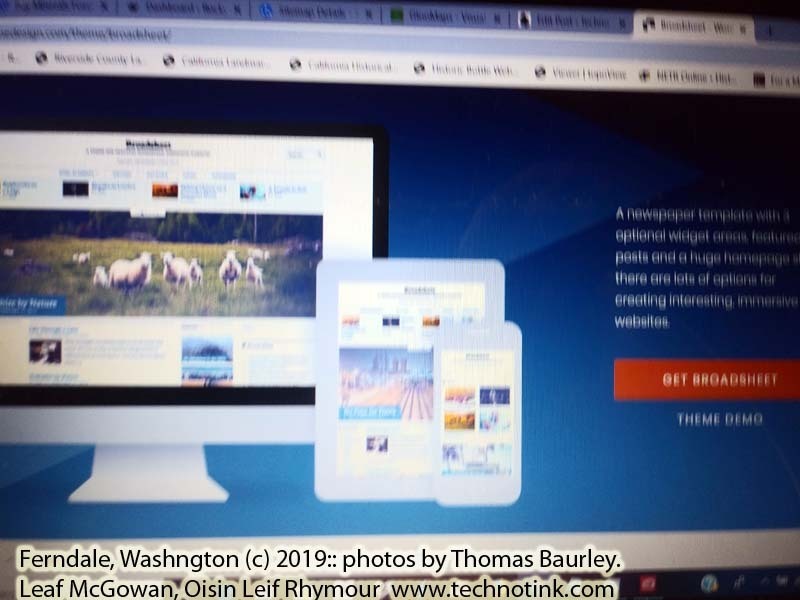 Doing web development work at the Ferndale Starbucks. The adventures of Sir Oisin Leif and Prince Cian in Ferndale, Washington. Photos taken on October 2, 2019. (c) 2019: Photos by Thomas Baurley, Oisin Leif Rhymour, Leaf McGowan. Tales at www.technogypsie.net/chronicles/