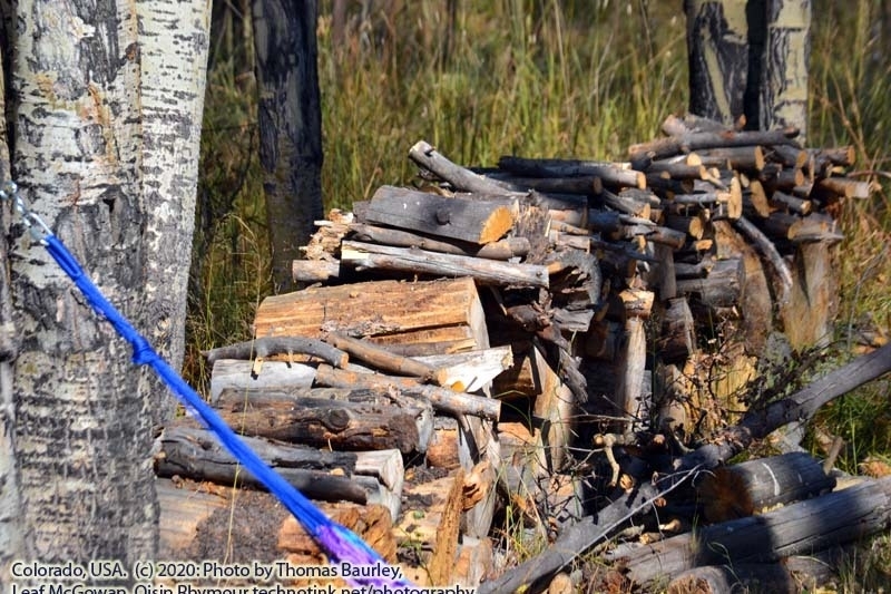 Fun in Grand Lake, Colorado. Sunday, October 4, 2020. https://technotink.net/adventures/?p=3027 The Adventures of Sir Oisin Leif:  Saga 1 - Dual states at https://technotink.net/adventures/?page_id=2.  Photography by Sir Oisin Leif, Thomas Baurley, Leaf McGowan, Technotink.net/photography  (c) 2020. All rights reserved.