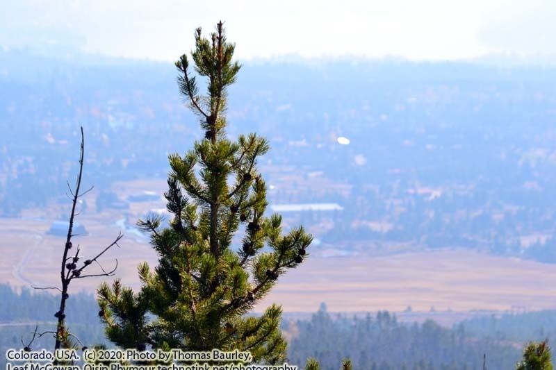 Fun in Grand Lake, Colorado. Sunday, October 4, 2020. https://technotink.net/adventures/?p=3027 The Adventures of Sir Oisin Leif:  Saga 1 - Dual states at https://technotink.net/adventures/?page_id=2.  Photography by Sir Oisin Leif, Thomas Baurley, Leaf McGowan, Technotink.net/photography  (c) 2020. All rights reserved.