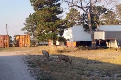 Oisin and Cian moving storage from Colorado to Washington State: Monday, October 5, 2020: https://technotink.net/adventures/?p=3033 The Adventures of Sir Oisin Leif:  Saga 1 - Dual states at https://technotink.net/adventures/?page_id=2.  Photography by Sir Oisin Leif, Thomas Baurley, Leaf McGowan, Technotink.net/photography  (c) 2020. All rights reserved.