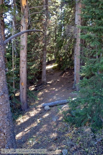 Breckenridge Fairy Forest - Exploring Breckenridge, Colorado: September 30, 2020. The Adventures of Sir Oisin Leif: https://technotink.net/adventures/?p=3015  Saga 1 - Dual states at https://technotink.net/adventures/?page_id=2.  Photography by Sir Oisin Leif, Thomas Baurley, Leaf McGowan, Technotink.net/photography  (c) 2020. All rights reserved.
