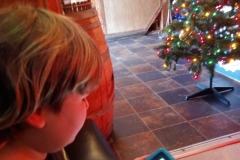 Waiting for delivery at Tandori Bites. Adventures in Bellingham, Ferndale, and Fairhaven, Washington.  (C) 2020: Photos by Thomas Baurley, Leaf McGowan, Techno Tink Media; www.technotink.net/photography.  Full adventure tales at www.technotink.net/adventures. Photo taken on January 1, 2020.