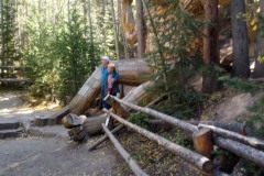 Breckenridge Troll - Exploring Breckenridge, Colorado: September 30, 2020. The Adventures of Sir Oisin Leif: https://technotink.net/adventures/?p=3015  Saga 1 - Dual states at https://technotink.net/adventures/?page_id=2.  Photography by Sir Oisin Leif, Thomas Baurley, Leaf McGowan, Technotink.net/photography  (c) 2020. All rights reserved.