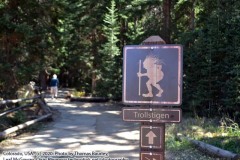 The Breckenridge Troll - Exploring Breckenridge, Colorado: September 30, 2020. The Adventures of Sir Oisin Leif: https://technotink.net/adventures/?p=3015  Saga 1 - Dual states at https://technotink.net/adventures/?page_id=2.  Photography by Sir Oisin Leif, Thomas Baurley, Leaf McGowan, Technotink.net/photography  (c) 2020. All rights reserved.