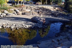 Exploring downtown Breckenridge, Colorado while remote learning: September 30, 2020. The Adventures of Sir Oisin Leif: https://technotink.net/adventures/?p=3015  Saga 1 - Dual states at https://technotink.net/adventures/?page_id=2.  Photography by Sir Oisin Leif, Thomas Baurley, Leaf McGowan, Technotink.net/photography  (c) 2020. All rights reserved.