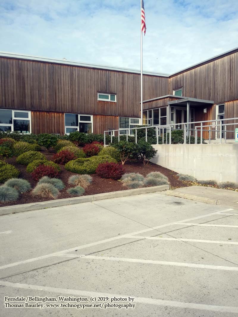 10.01.19: Confidential Letter Delivery, Web Dev, Video Blogging, Delivery Grind in Ferndale