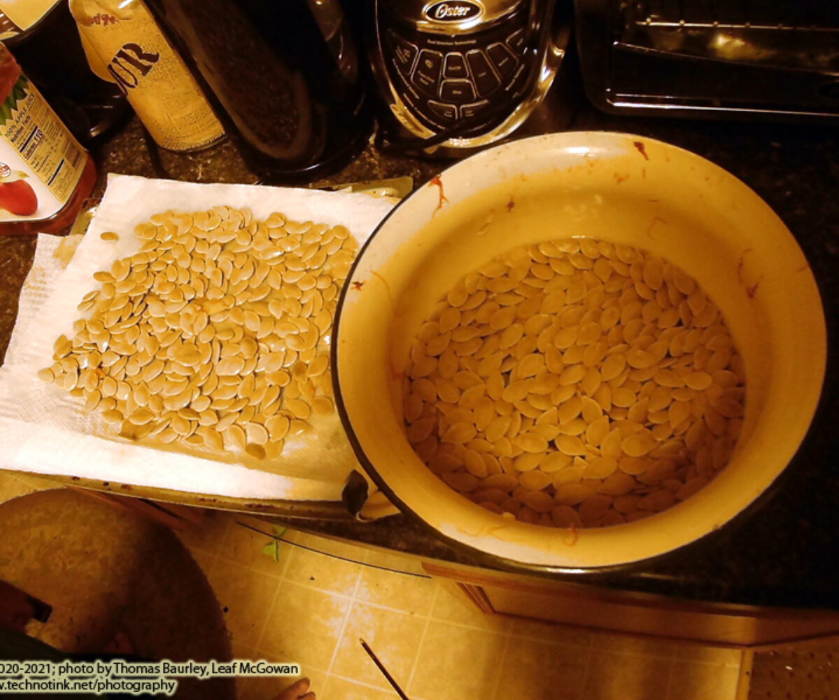 10.16.20: E-school, Seeds, Pumpkin Carving