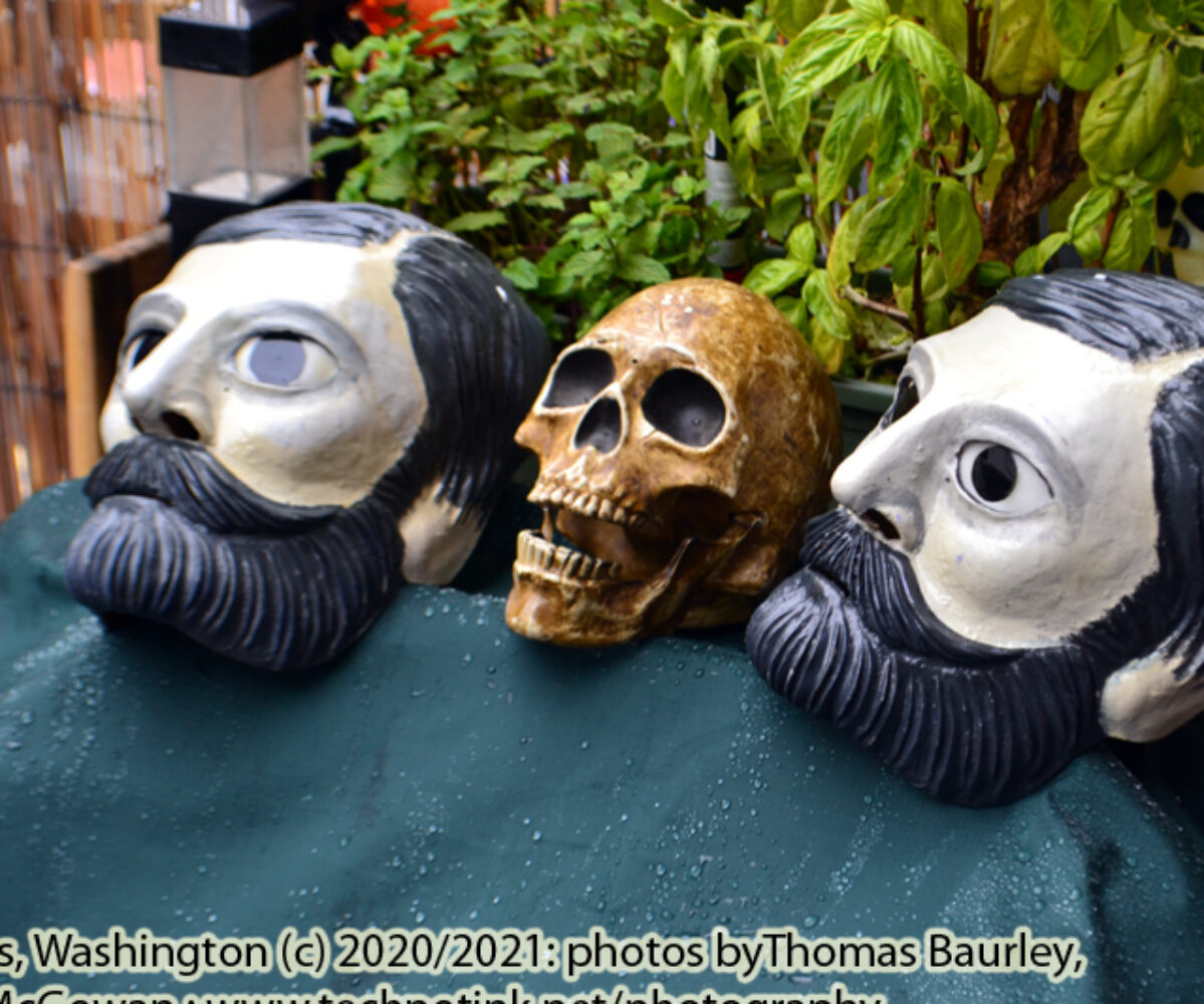 10.18.20: Costume Sale Day 2, Retrieving Cian