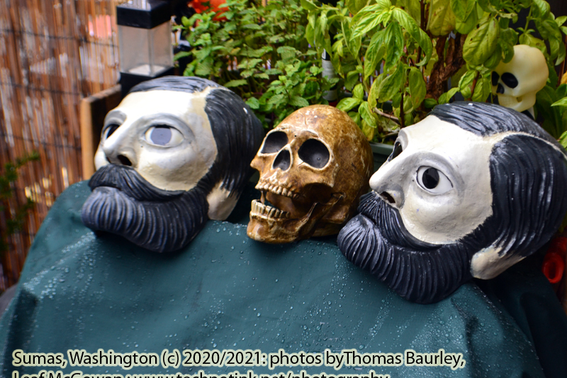 10.18.20: Costume Sale Day 2, Retrieving Cian