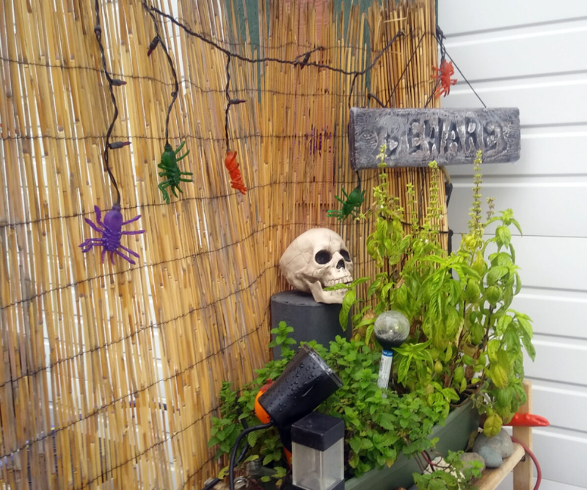 10.19.20: E-school, Halloween Decorating, Webdev