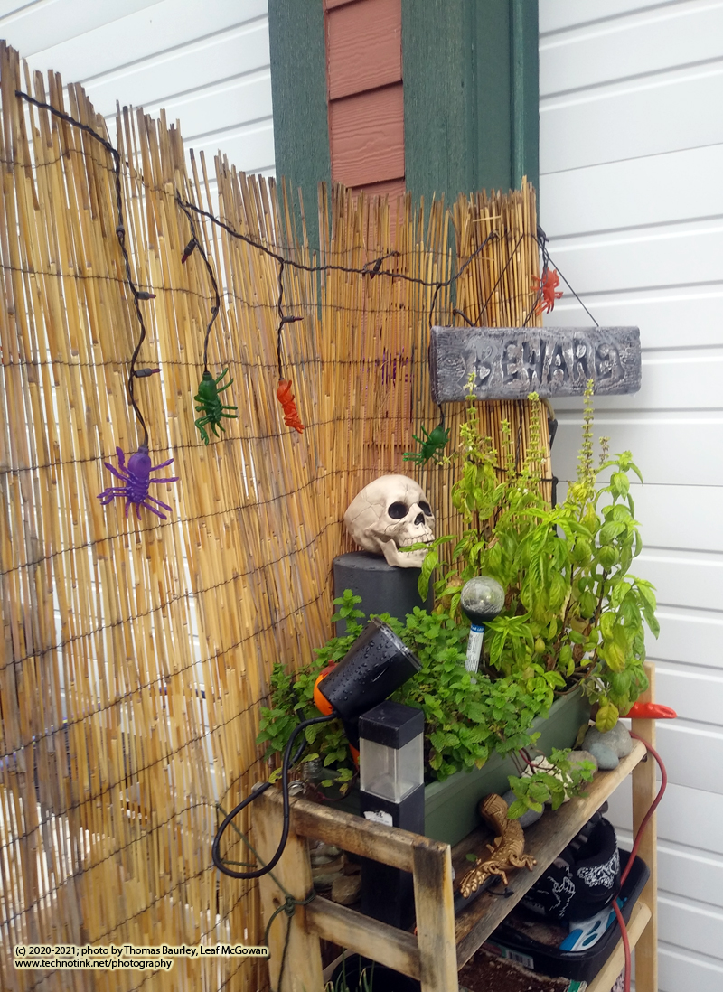 10.19.20: E-school, Halloween Decorating, Webdev