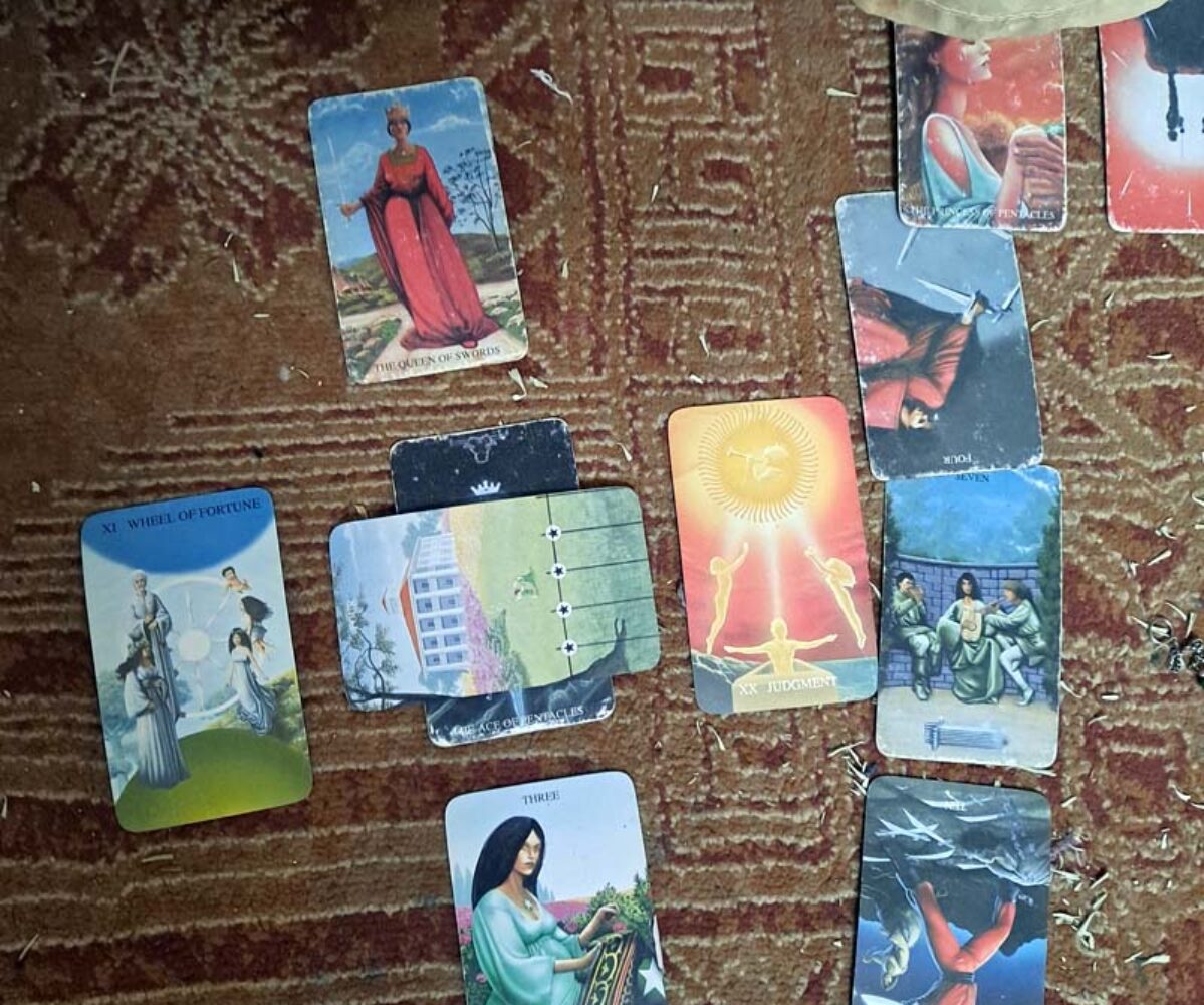 03.20.21: Spring Equinox; Quest of American Giants