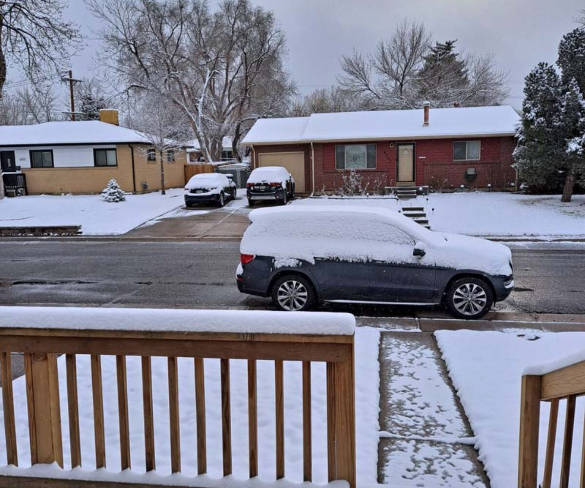 03.30.21: Snowstorm, WebDev