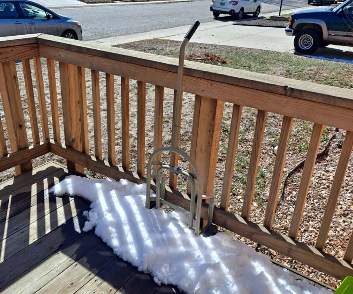 03.31.21: Snow gone, WebDev, Nobody