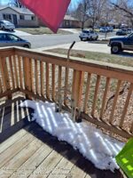 03.31.21: Snow gone, WebDev, Nobody