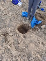 04.07.21: Back to Survey