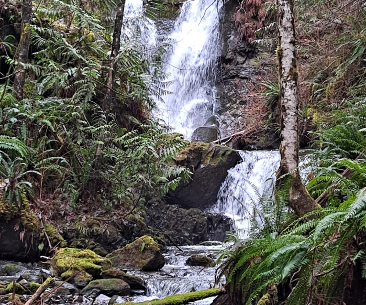 01.16.21: Racehorse Falls, accounting, The Vow