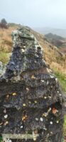 12.19.23: County Kerry, Mythic Landscape