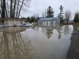 12.11.25: The Nooksack River Rises