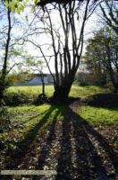 11.30.2013: Searching for Holy Wells and Faerie Sites