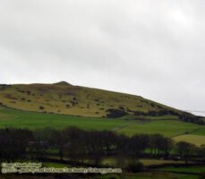 01.04.12: Holy Wells, Abbeys, and Passage Tombs – Exploring County Meath