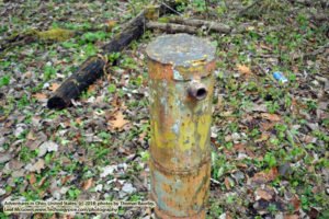 The Zombie Torch/Eternal Flame