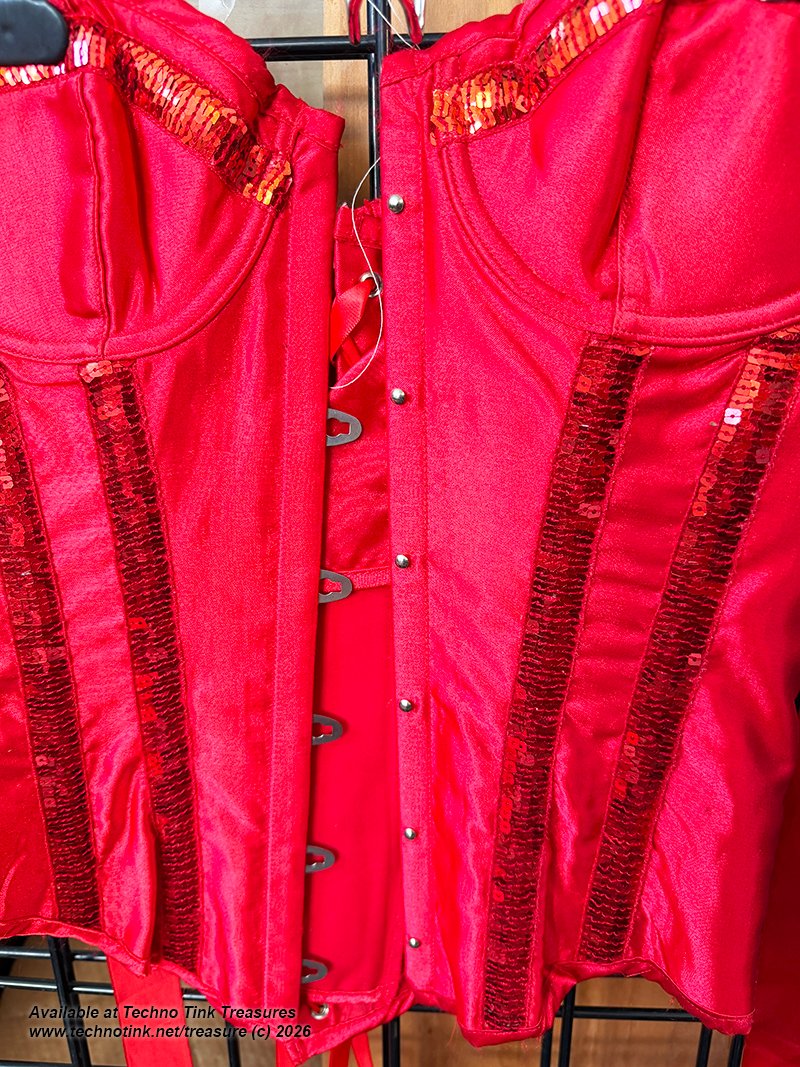 Small Shiny Red Corsette with ribbon and clasps - Image 3