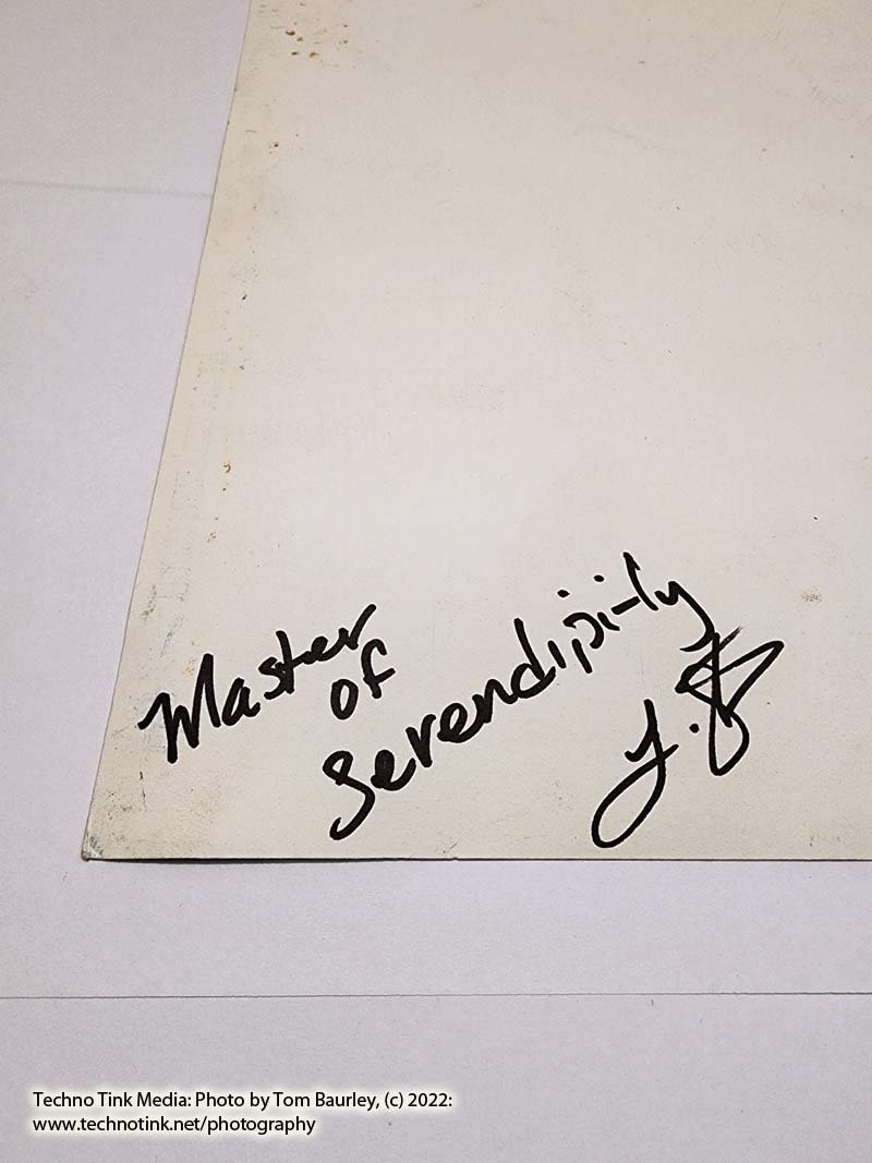 Master of Serendipity Jester Painting - Image 8