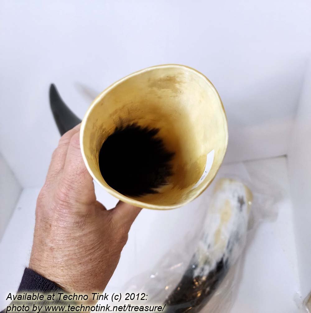 Pair of Steer Viking Drinking Horns 16x3x3 inch 1 pair (HR100-13SP) - Image 8