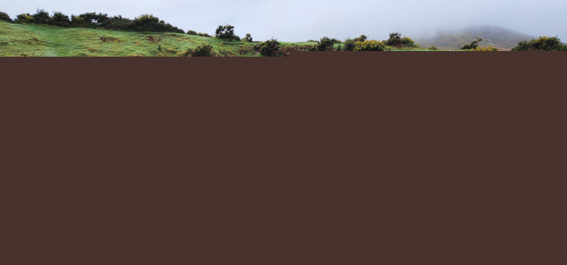 1_20231218_150855