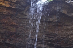 041021-0082-nikon-frankfortspring