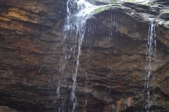 041021-0083-nikon-frankfortspring