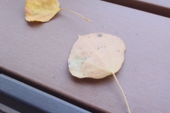 GRANDLAKE-100420-009