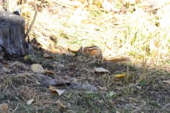 GRANDLAKE-100420-020