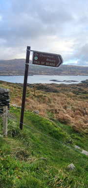 121923_0240_BEARA-HAG