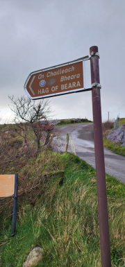 121923_0241_BEARA-HAG