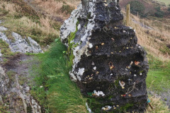 121923_0244_BEARA-HAG