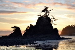 Lincoln City, Oregon. Oregon Coastline 2013: Oregon Coast, Oregon, USA. Friday, August 3, 2013. (c) 2013: Photo by Leaf McGowan, Thomas Baurley, Technogypsie Productions. More information, copy of photo, to purchase, or to obtain permission to reprint visit http://www.technogypsie.com/photography/.  To follow the adventures, go to http://www.technogypsie.com/chronicles/ or travel tales http://www.technogypsie.com/reviews/