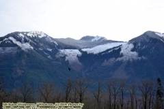 The adventures of Sir Oisin Leif in the Whatcom wilderness of Northern Washington. Photos taken on December 24, 2019. (c) 2019: Photos by Thomas Baurley, Oisin Leif Rhymour, Leaf McGowan. Tales at www.technogypsie.net/chronicles/