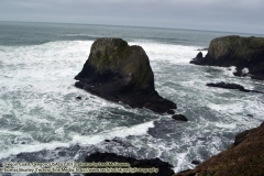 Yaquina Head National Park (http://www.technogypsie.com/reviews/?p=25775). 1/27/16: Chronicles 23: Delving the Oregon Coast and Willamette Valley:  http://www.technogypsie.com/chronicles/?p=19727 -   Photos from  February 2016 . (c) 2016 - photo by Photographers Thomas Baurley / Eadaoin Bineid / Leaf McGowan and/or Etain DeDanann of Technogypsie Productions Photography: (www.technogypsie.com/photography/).